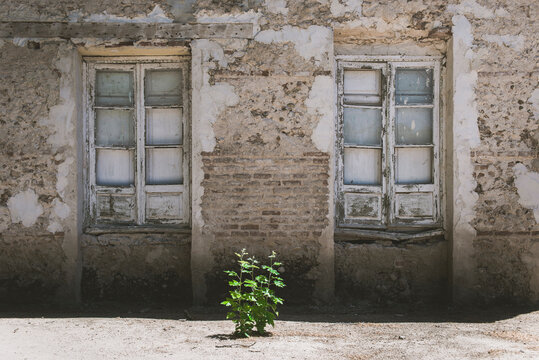 Old doors and brick wall