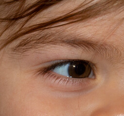 Fototapeta premium Close up photo of an hazelnut eye 