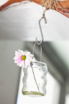 Home Decor, Hanging Flower