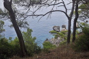 Mare e Pineta a Tremiti