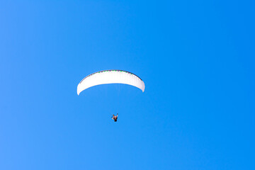 Paraglider in the blue sky. The sportsman flying on a paraglider.