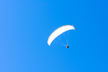 Paraglider in the blue sky. The sportsman flying on a paraglider.