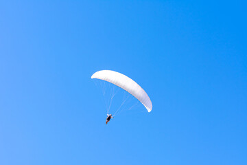 Paraglider in the blue sky. The sportsman flying on a paraglider.