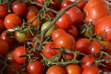 cherry tomatoes on vine