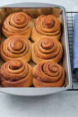 Homemade cinnamon rolls. Autumn concept.