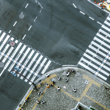 People Waiting At An Intersection In The City