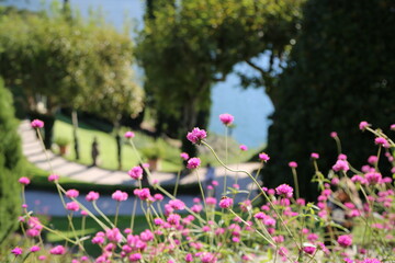 Como Lake, detail of Villa Balbaniello, Italy