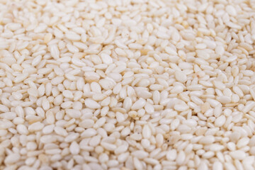 Roasted sesame seeds close-up. Macro shot.