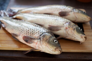 Three carps on a wooden cutting board