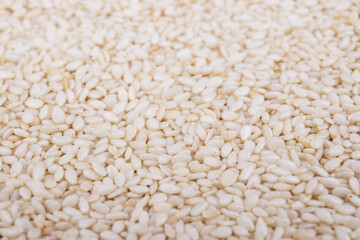 Roasted sesame seeds close-up. Macro shot.