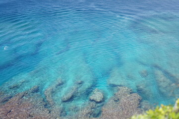 만좌모의 아름다운 모습들