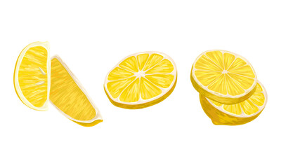 Sliced Lemon Citrus Fruit Isolated on White Background Vector Set