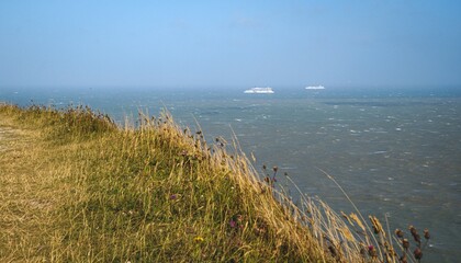 white cliffs of dover grass clear sky sea england
