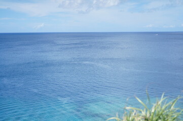 만좌모의 아름다운 모습들