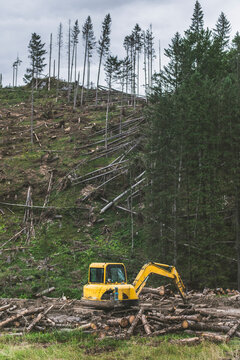 Machine cutting down trees