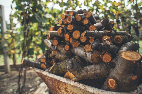 Winter is coming - chopped firewood