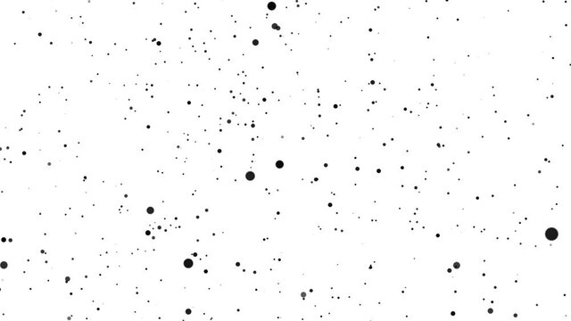 Animation of black particles of different sizes moving in space on a white background. You can use this footage for video backgrounds.