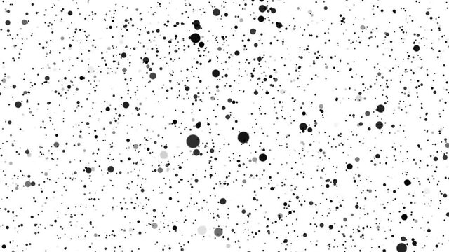 Abstract white background with moving black and gray particles of different sizes. Background with dark blurred boke circles.