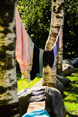 Clothes hanging between two trees to dry out.