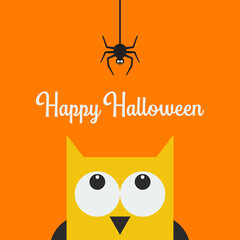 Owl face head looking up to hanging on dash line web spider