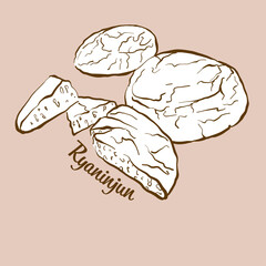 Hand-drawn Ryaninjun bread illustration