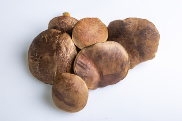 A bunch of collected raw jersey cow mushrooms lies on a white background close-up. Horizontal orientation. High quality photo.