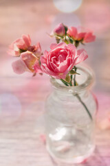 Small pink roses in a glass vase.Beautiful blurry pink background with bokeh.Floral background with copy space.
