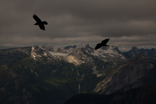 Two Crows, Ominous Landscape