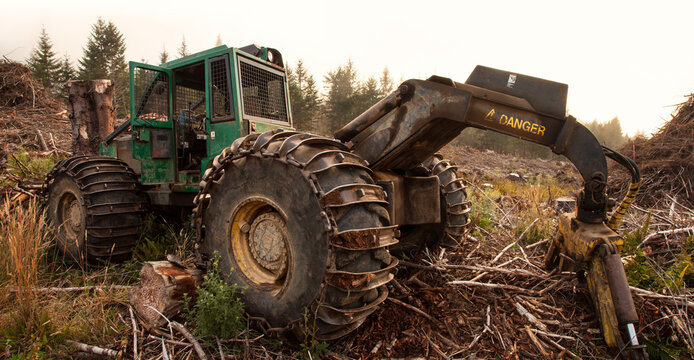 Excavator at Old Logging Site