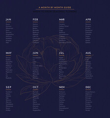 Vegetable, fruit and flower Calendar wall poster for the year with buying guide Vector hand drawn illustration. Monthly healthy guide. For your home, corporate, yoga, cooks, workplace poster.