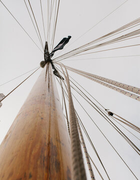 Sailing the Schelde River, Belgium