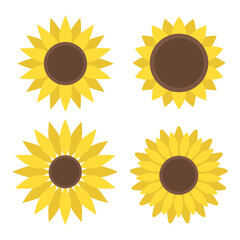 Vector set with isolated sunflowers. Flat graphics.