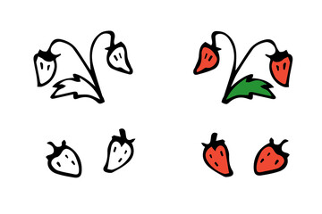 vector hand-drawn strawberry. isolated on a white background. autumn element. graphic icon. coloring book with a color example.