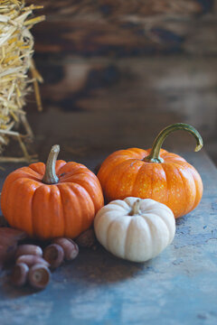 Group of small pumpkins on a table next to straw bale