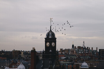 Birds around a tower