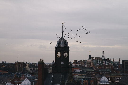Birds around a tower