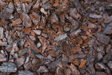 background from wood bark shavings