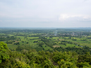 Obraz premium A bird's-eye view of the green from the rice and trees where it will rain.