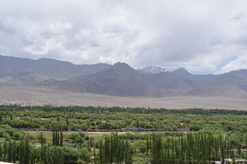 landscape with trees Leh Ladakh beauty greenery from the top of the mountians