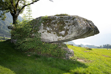 Druidenstein beim Golfplatz, Morschach, Kanton Schwyz, Schweiz