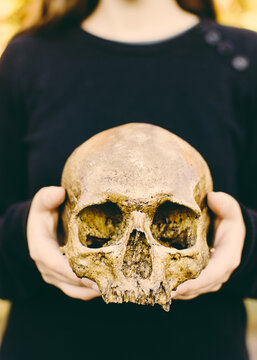 a human skull being held by a live person