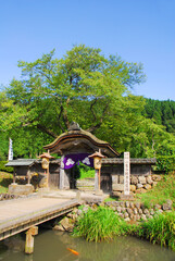 新緑の一乗谷・朝倉遺跡の唐門
