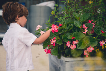 Little child picking flowers in a garden 