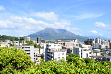 Obraz premium 南州神社から見た桜島 