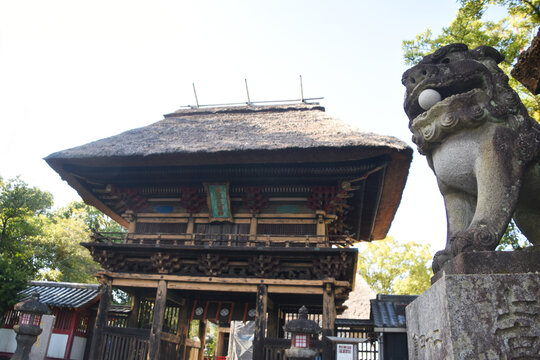 19 Best 青井阿蘇神社images Stock Photos Vectors Adobe Stock 19 Best 青井阿蘇神社images Stock Photos Vectors Adobe Stock