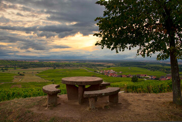 Weinberge oberhalb von Blienschwiller im Elsass