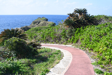 Fototapeta premium 徳之島・犬田布岬の遊歩道 