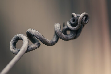 Macro of brown twisted vine