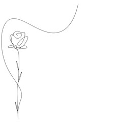 Rose flower one line drawing on white background. Vector illustration