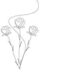 Roses flowers line drawing on white background. Vector illustration
